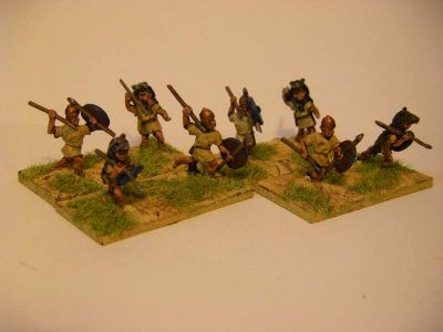 Velites
Keywords: LRR
