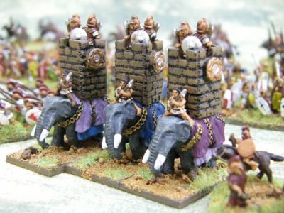 Elephants
Keywords: HOTHER
