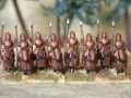 cataphracts_1.JPG