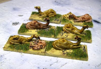 Tethered camel defences

