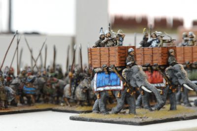 The Cav follow the Elephants

