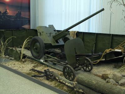 Russian Guns
