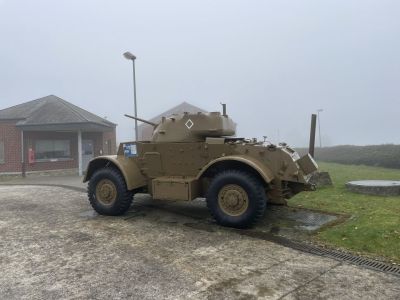 Staghound
