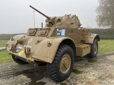 Staghound
