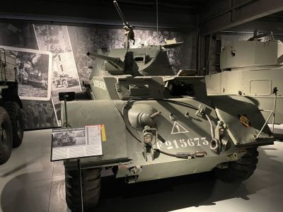 Staghound
