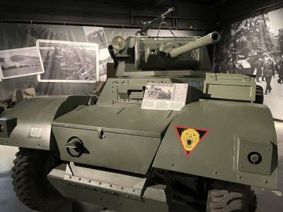 Staghound
