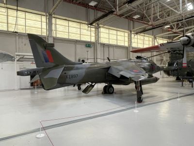 Harrier
