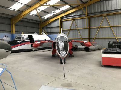 Gnat

