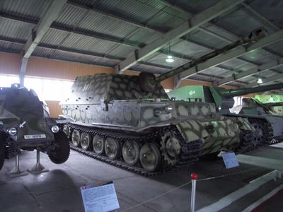 Elefant
