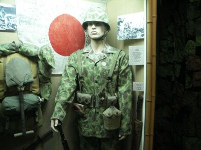 USMC in WW2 jungle camo
Taken at the surprisingly impressive [url=http://www.armedforcesmuseum.com/]Armed Forces Museum[/url] in Largo, near Tampa, Florida
