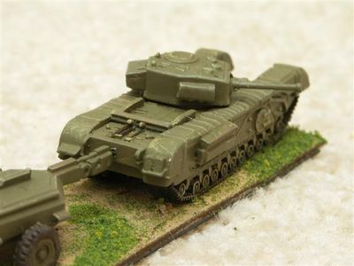 Churchill Crocodile
