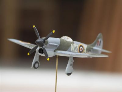 Tempest
