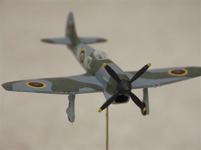 Tempest

