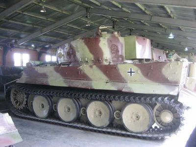 Tiger
