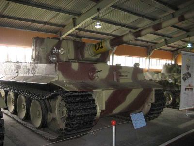 Tiger
